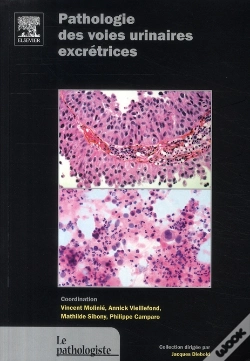 Capa do artigo Pathologie Des Voies Urinaires Excrétrices