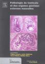 Pathologie Du Testicule Et Des Organes Genitaux Externes Masculins - Preview