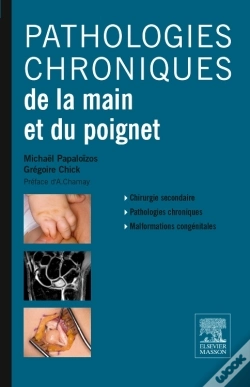 Capa do artigo Pathologies Chroniques De La Main Et Du Poignet