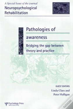 Capa do artigo Pathologies Of Awareness: Bridging The Gap Between Theory And Practice
