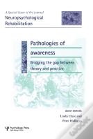 Pathologies Of Awareness: Bridging The Gap Between Theory And Practice