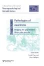Pathologies Of Awareness: Bridging The Gap Between Theory And Practice - Preview