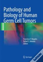 Pathology And Biology Of Human Germ Cell Tumors