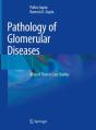 Pathology Of Glomerular Diseases - Preview