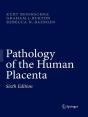 Pathology Of The Human Placenta - Preview