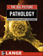 Pathology: The Big Picture - Preview