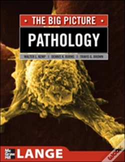 Capa do artigo Pathology: The Big Picture
