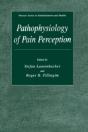 Pathophysiology Of Pain Perception - Preview