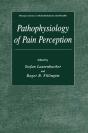 Pathophysiology Of Pain Perception - Preview