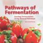 Pathways Of Fermentation - Preview