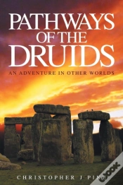 Capa do artigo Pathways Of The Druids
