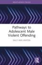 Pathways To Adolescent Male Violent Offending - Preview