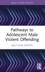 Pathways To Adolescent Male Violent Offending - Preview