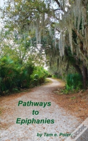 Capa do artigo Pathways To Epiphanies
