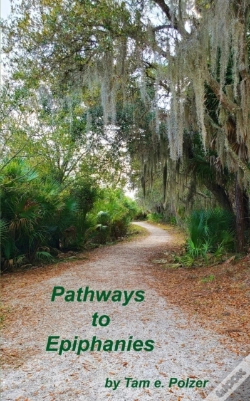 Capa do artigo Pathways To Epiphanies