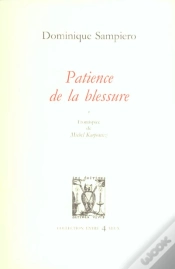Capa do artigo Patience De La Blessure