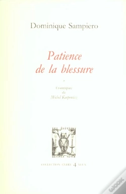Capa do artigo Patience De La Blessure