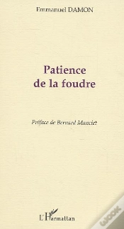 Capa do artigo Patience De La Foudre