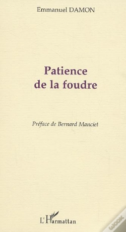 Capa do artigo Patience De La Foudre