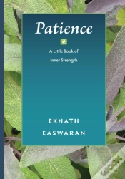 Capa do artigo Patience