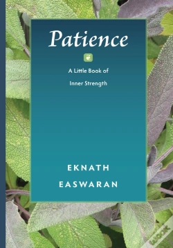 Capa do artigo Patience