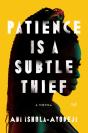 Patience Is A Subtle Thief - Preview