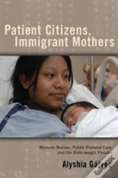 Patient Citizens, Immigrant Mothers