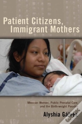 Patient Citizens, Immigrant Mothers