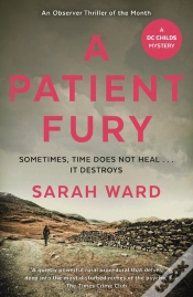 Capa do artigo Patient Fury