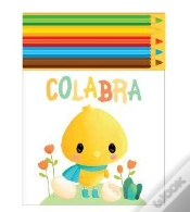 Capa do artigo Pato