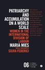 Patriarchy And Accumulation On A World Scale - Preview