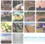 Patrimonio Natural - Preview