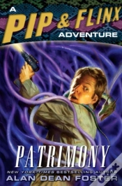 Capa do artigo Patrimony