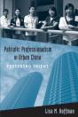 Patriotic Professionalism In Urban China - Preview
