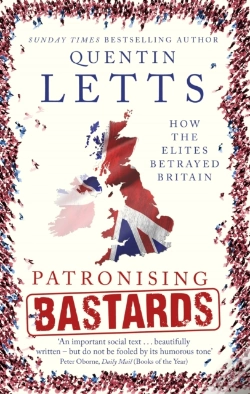 Capa do artigo Patronising Bastards