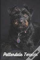 Patterdale Terrier
