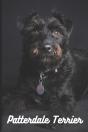 Patterdale Terrier - Preview
