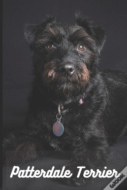 Capa do artigo Patterdale Terrier