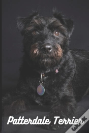 Capa do artigo Patterdale Terrier