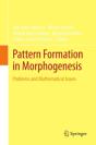 Pattern Formation In Morphogenesis - Preview