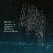 Capa do artigo Patternmaster - Vinil