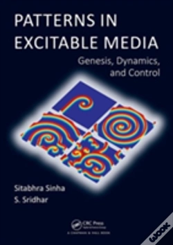 Capa do artigo Patterns In Excitable Media