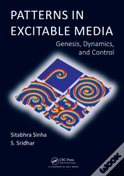 Capa do artigo Patterns In Excitable Media