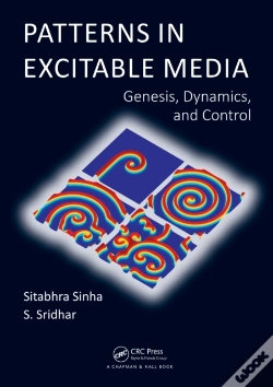 Capa do artigo Patterns In Excitable Media