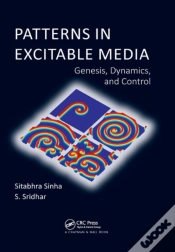Capa do artigo Patterns In Excitable Media