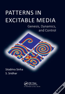 Capa do artigo Patterns In Excitable Media