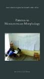Patterns In Mesoamerican Morphology - Preview