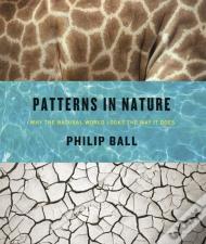 Patterns In Nature