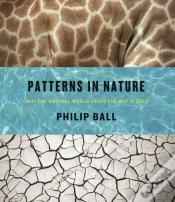 Capa do artigo Patterns In Nature