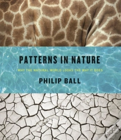 Capa do artigo Patterns In Nature